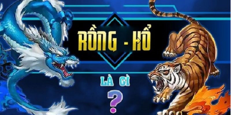 Luật chơi rồng hổ online cho người mới tham gia lần đầu