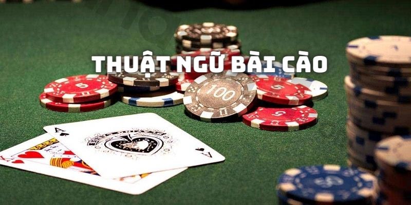 Những thuật ngữ cần nắm bắt để đảm bảo biết đánh Bài Cào online